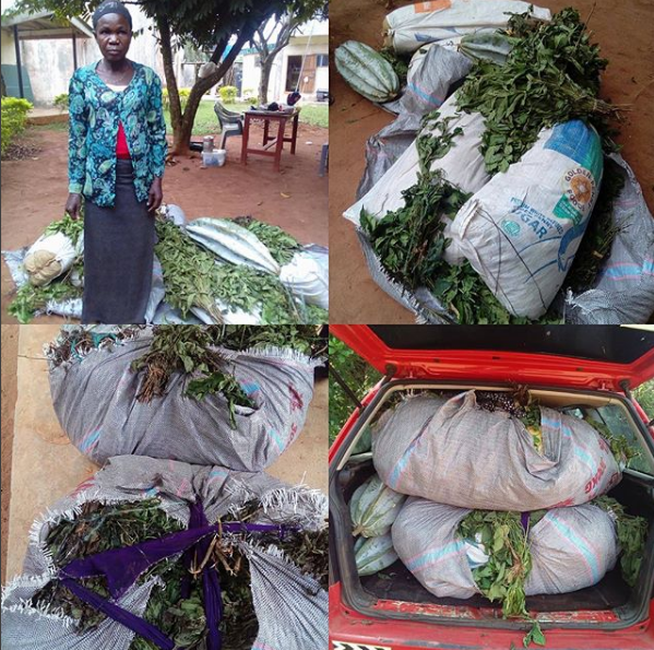 50 Year Old Woman Arrested With 40kg Cannabis Hidden In Vegetables