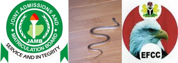 ‘I Didn’t Say Snake Swallowed N36Million’ – JAMB Clerk Says
