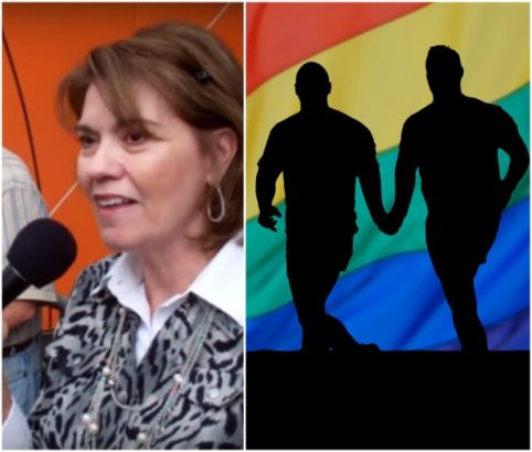 Pro-Life Activist Linda Harvey says Homosexuality may be “God’s judgement for aborting millions of our children”