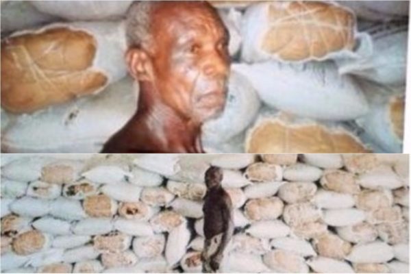 NDLEA Uncovers 525 Bags Of weed Inside Ceiling, Arrests 64-yr-Old Man