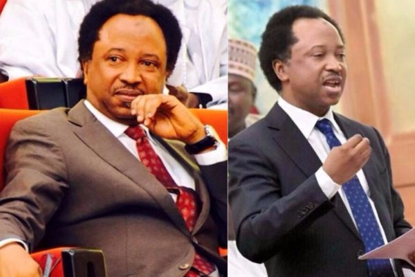 Prisons Will Be Filled With Bloggers If Hate Speech Bill Is Passed – Shehu Sani