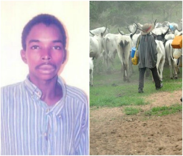 Herdsman Kills His Brother Over Missing Cow