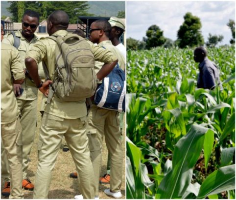 30 Corps Members To Redo Service Year, NYSC Members To Be Posted To Farms