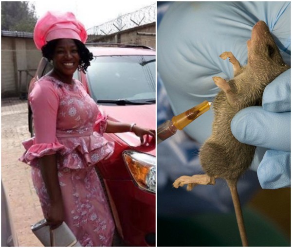 Lassa Fever Kills Doctor, A Month After Starting Her Residency In Abia State