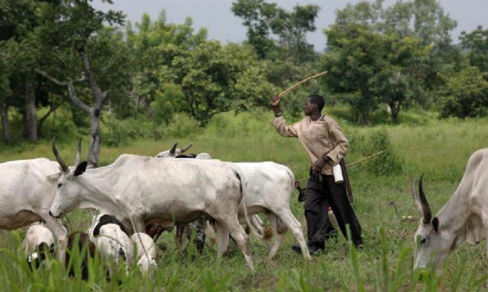 NEC Bans Open Grazing As Herdsmen Attacks Persist