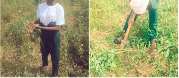 Unemployed Graduate Narrates How Farming Saved Her From killing Herself