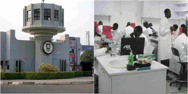 University Of Ibadan Shuts Down Medical School