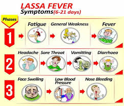 Lassa Fever kills Three, Affects Eight New Persons In Six States