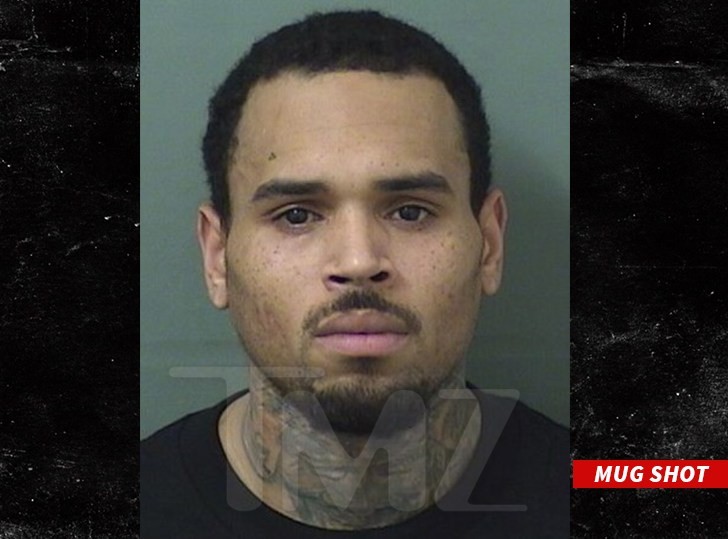 Chris Brown Reportedly Arrested After His Florida Concert