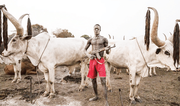 Herdsmen Kill Three Farmers In Fresh Benue Attacks