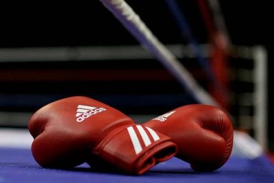 Boxer Collapses, Dies During Training Session