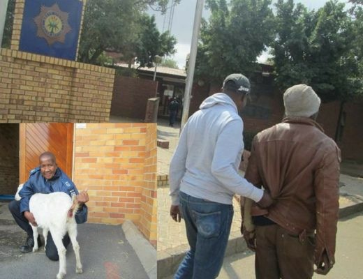 33-Year-Old Man Arrested For Raping His Neighbour's Pregnant Goat In South Africa