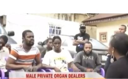 Kogi State Police Command Arrest 10-Man Gang That Specializes In Selling Penises