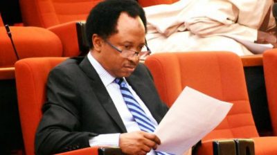 Ex-Police Commissioner Accuses Shehu Sani Of Forgery