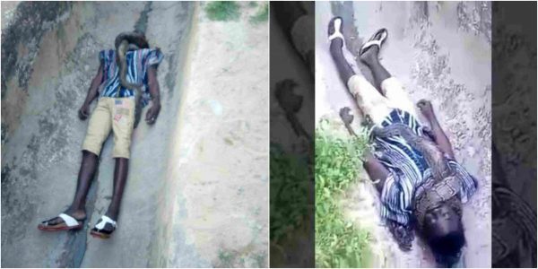 Man Strangled To Death By His Pet Snake In Ghana