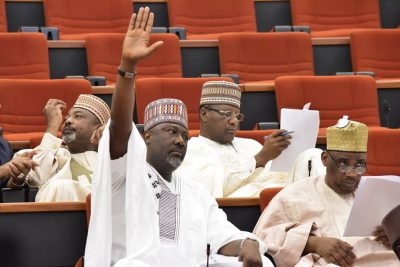 Senate Begins Probe Of Deji Adeyanju’s Arrest