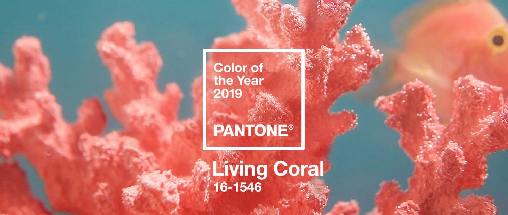 Pantone's 2019 Color Of The Year Is 'Living Coral'