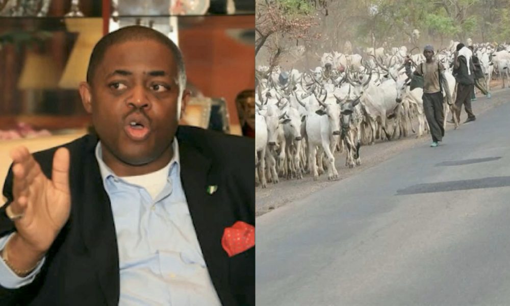 HeardsMen Have Sex With Cow Before Slaughter For Ritual Purposes- Femi Fani Kayode