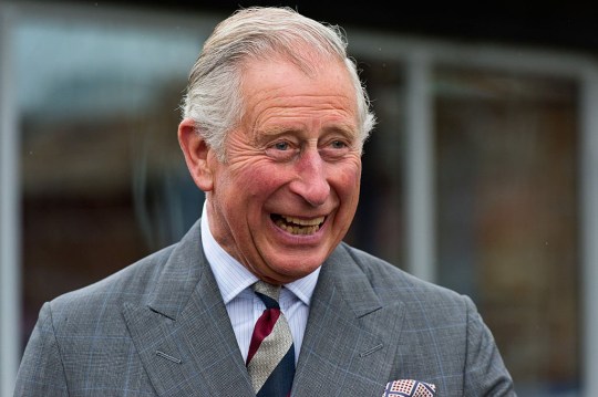 Prince Charles Recovers From Coronavirus And Is Out Of Self-isolation