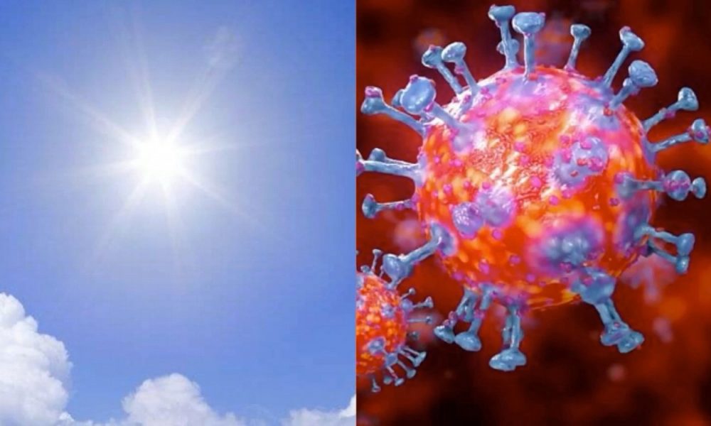 Sunlight Can Kill Coronavirus 'Within Minutes'-US Homeland Security