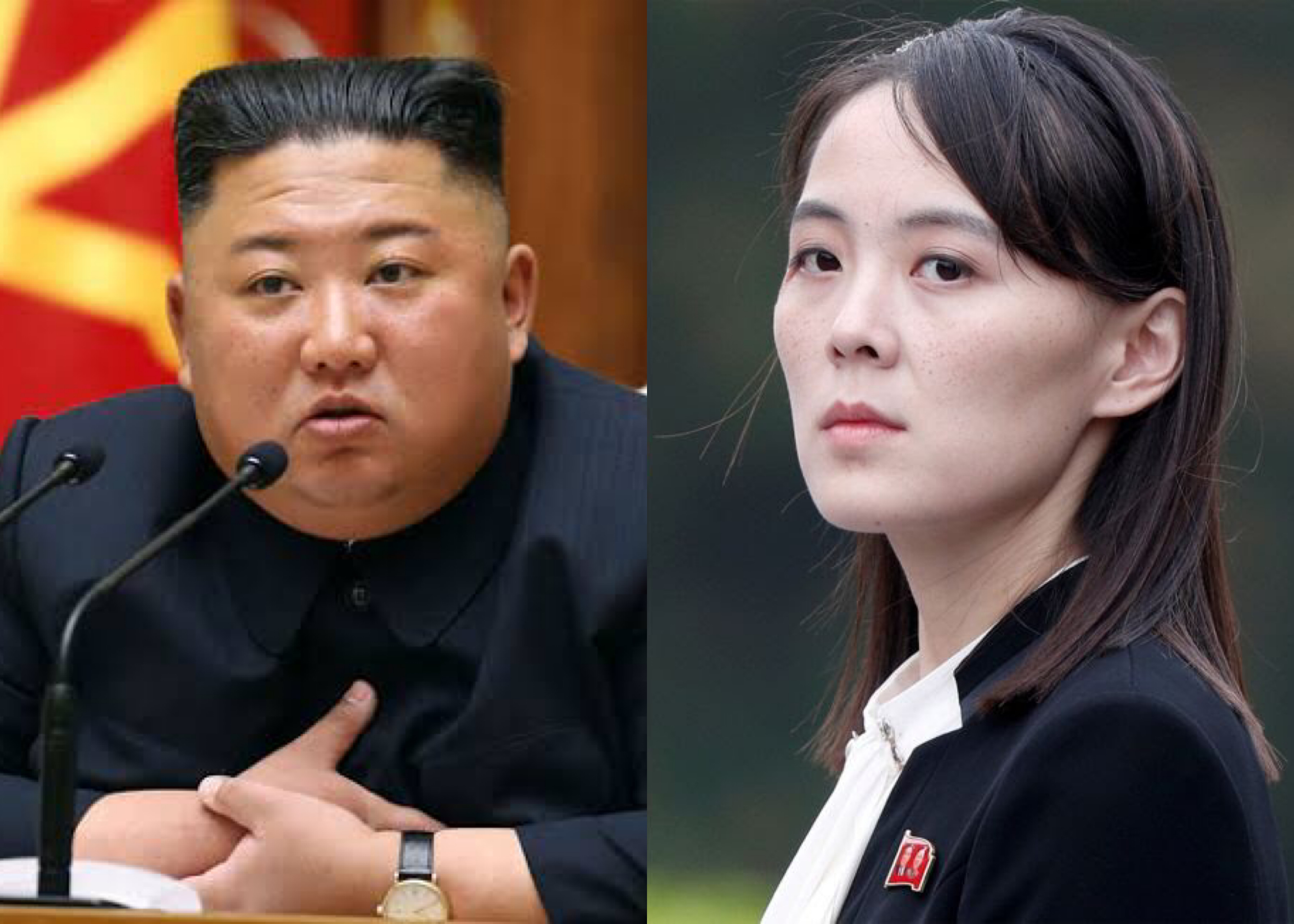 Kim Jong Un and sister Kim Yo Jong