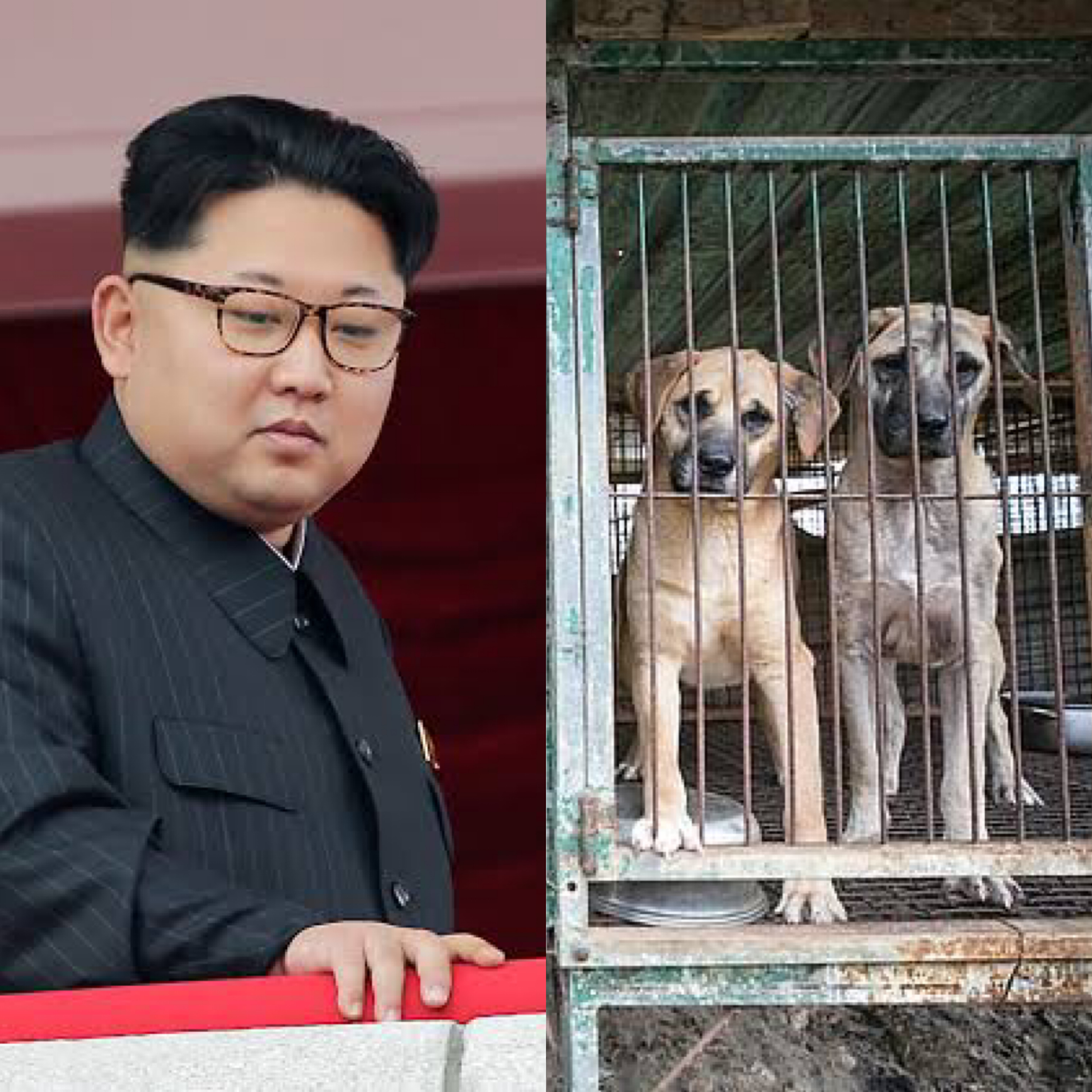 Kim Jong-Un, the Supreme Leader of North Korea