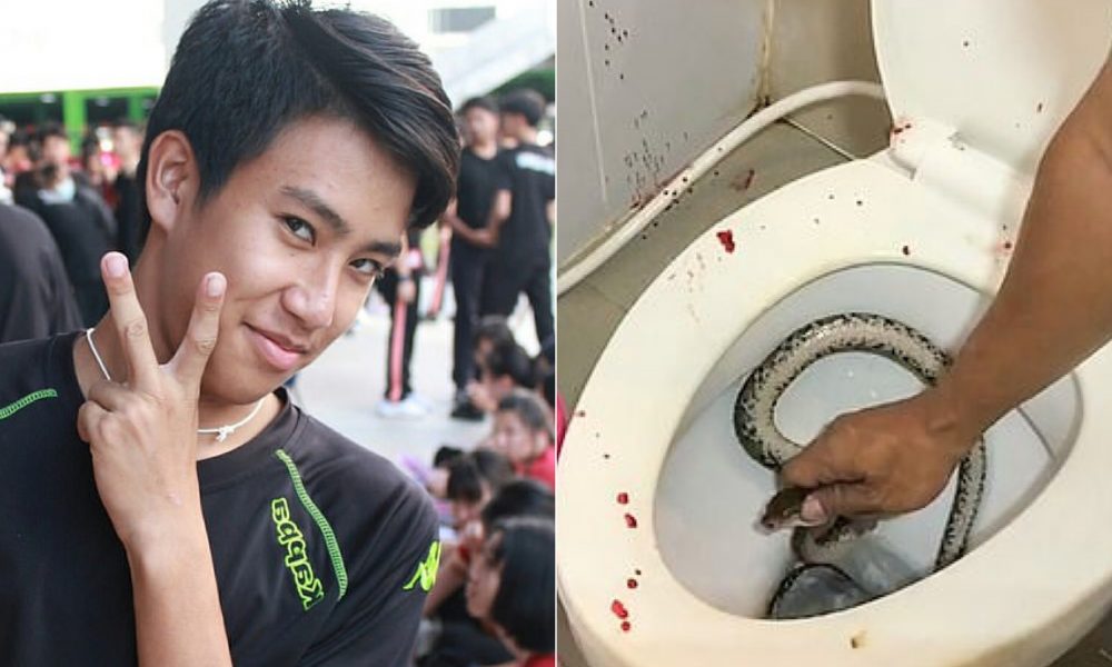 Teenager Gets Bitten By Python On His Penis While Sitting On Toilet Seat