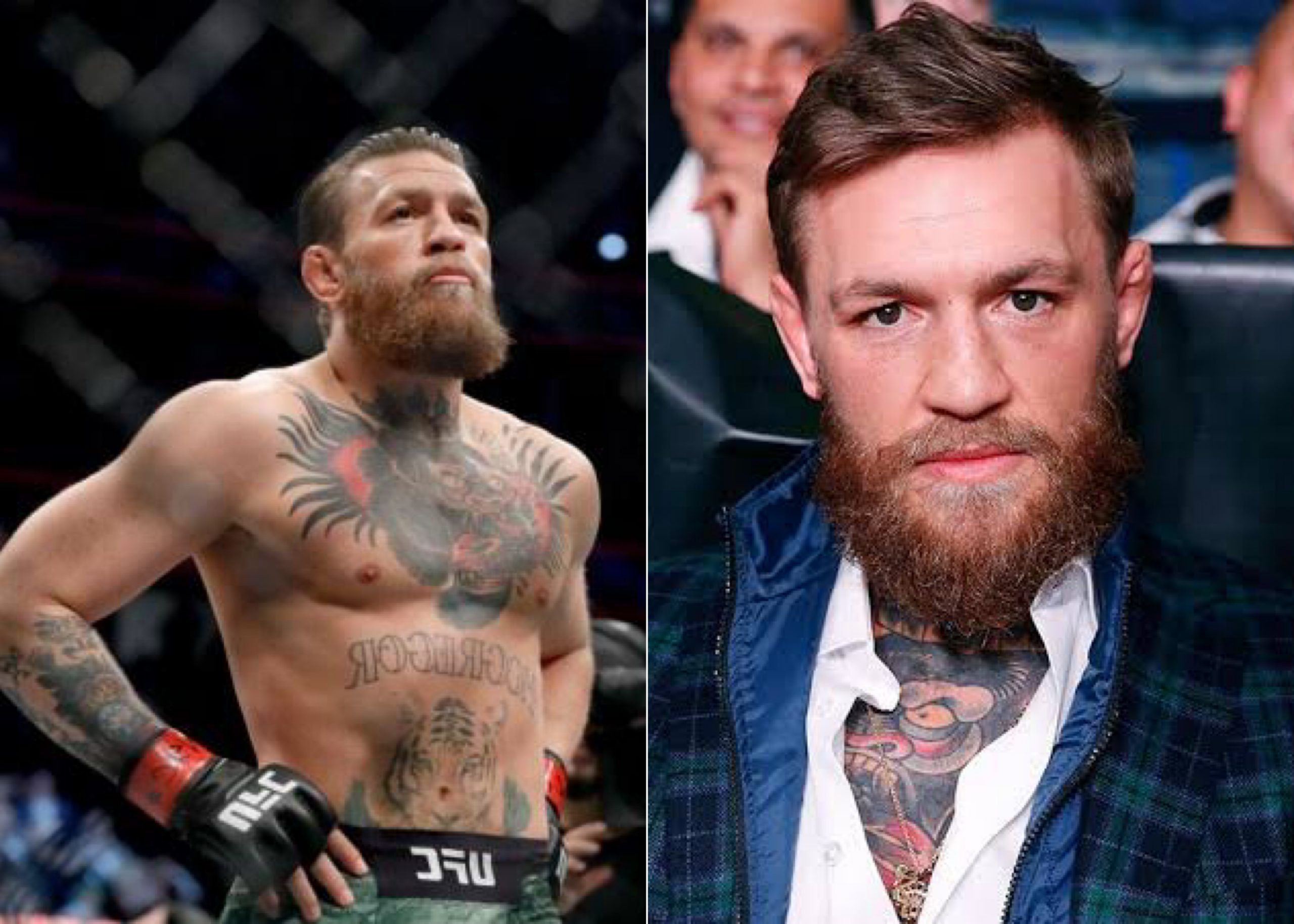 Retired UFC Fighter, Conor McGregor Arrested For Alleged Indecent Exposure, Attempted Sexual Assault