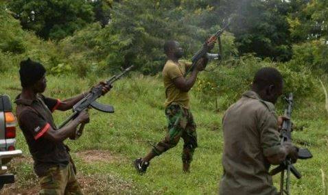 Bandits Charge Zamfara Farmers ‘Harvest Fees’ Before Given Access To Their Farms