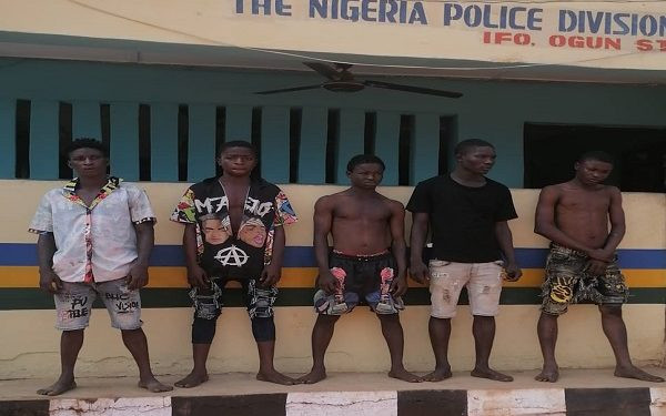 Police arrest 5 suspected cultists over violence, murder in Ogun community