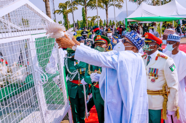 Nigerians React As Pigeons Released By President Buhari During Armed Forces Remembrance Day Celebration Refused To Fly