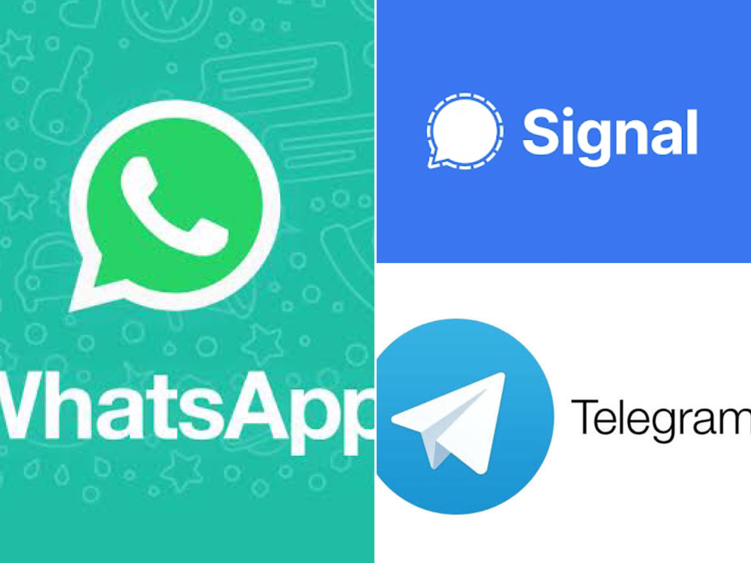 WhatsApp Users Ditch App For Signal, Telegram Over New Privacy Policy Change