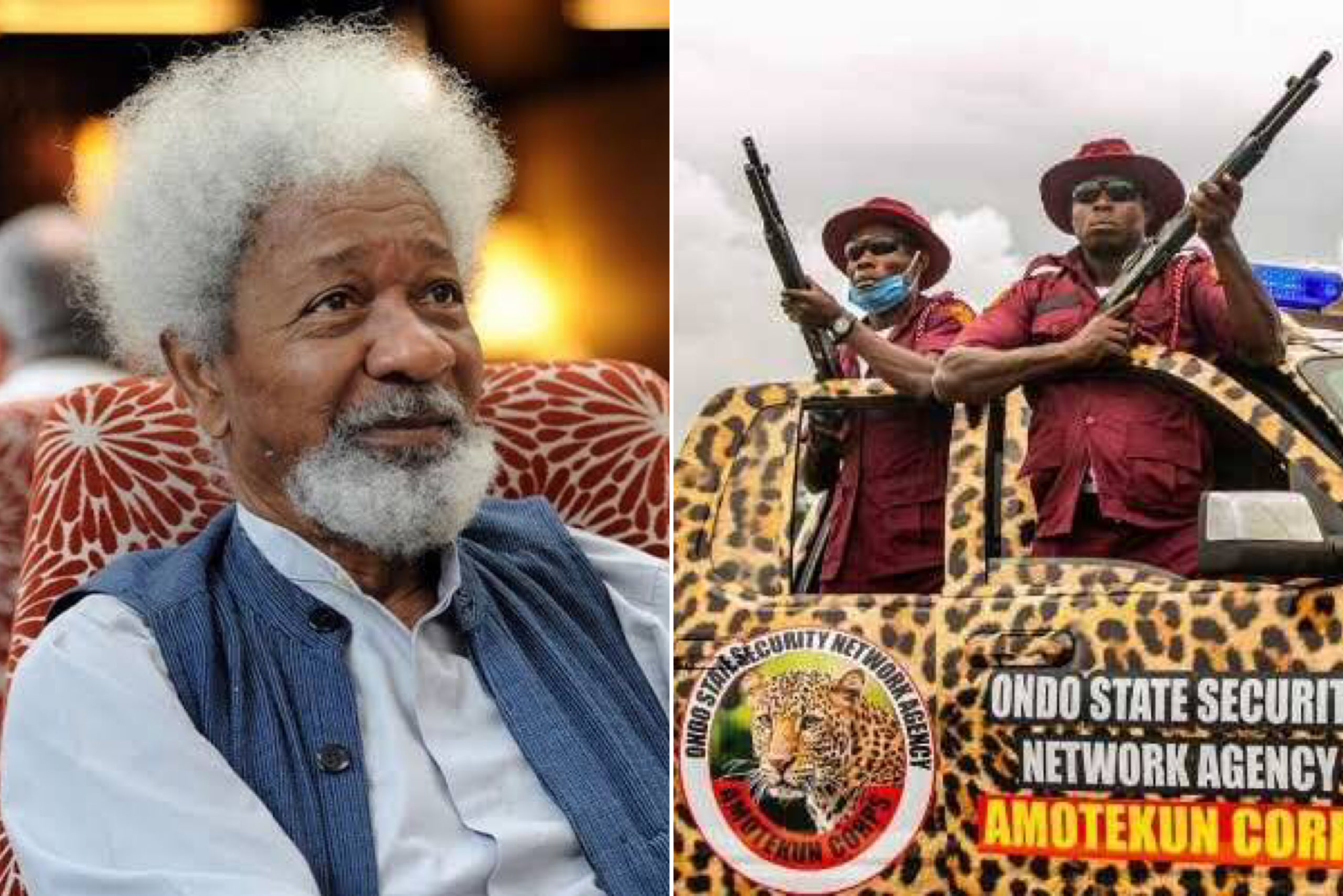 Members Of Amotekun Must Be Trained In Order Not To Become Another SARS - Wole Soyinka