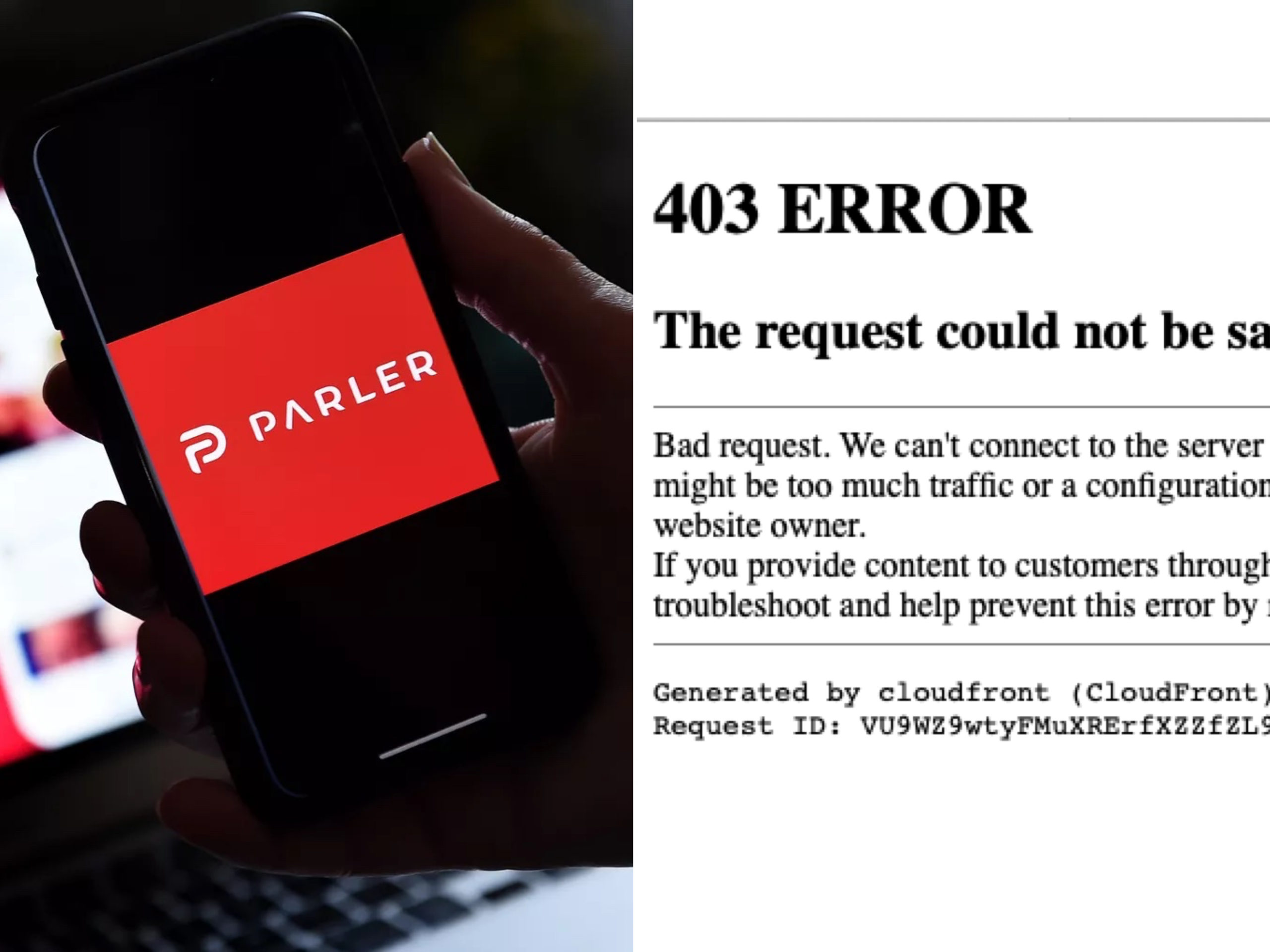 Parler, Social App Popular Among Trump Supporters, Goes Offline After Bans From Amazon, Apple, Google