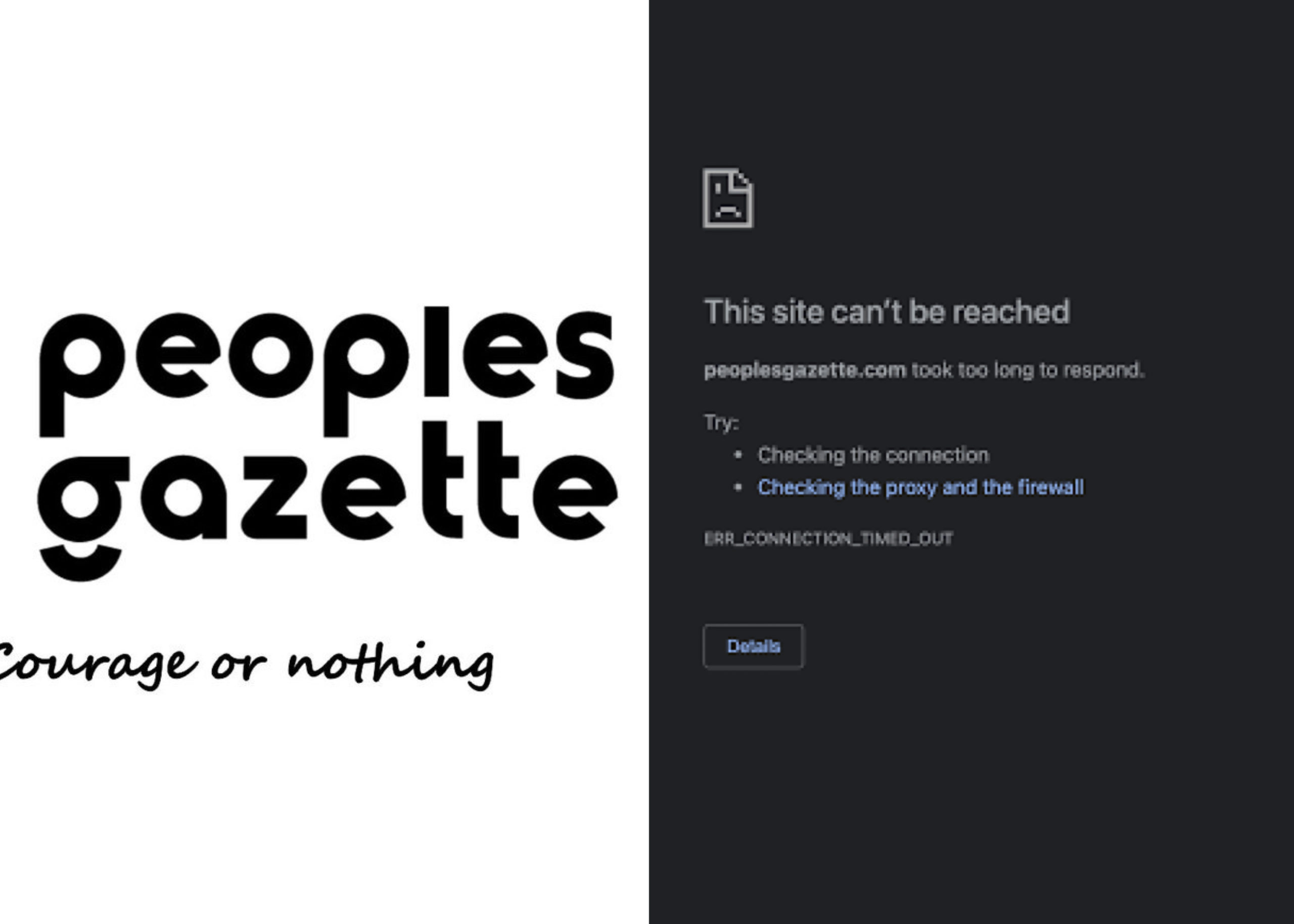 Telecom Networks Restrict Access To Peoples Gazette Website