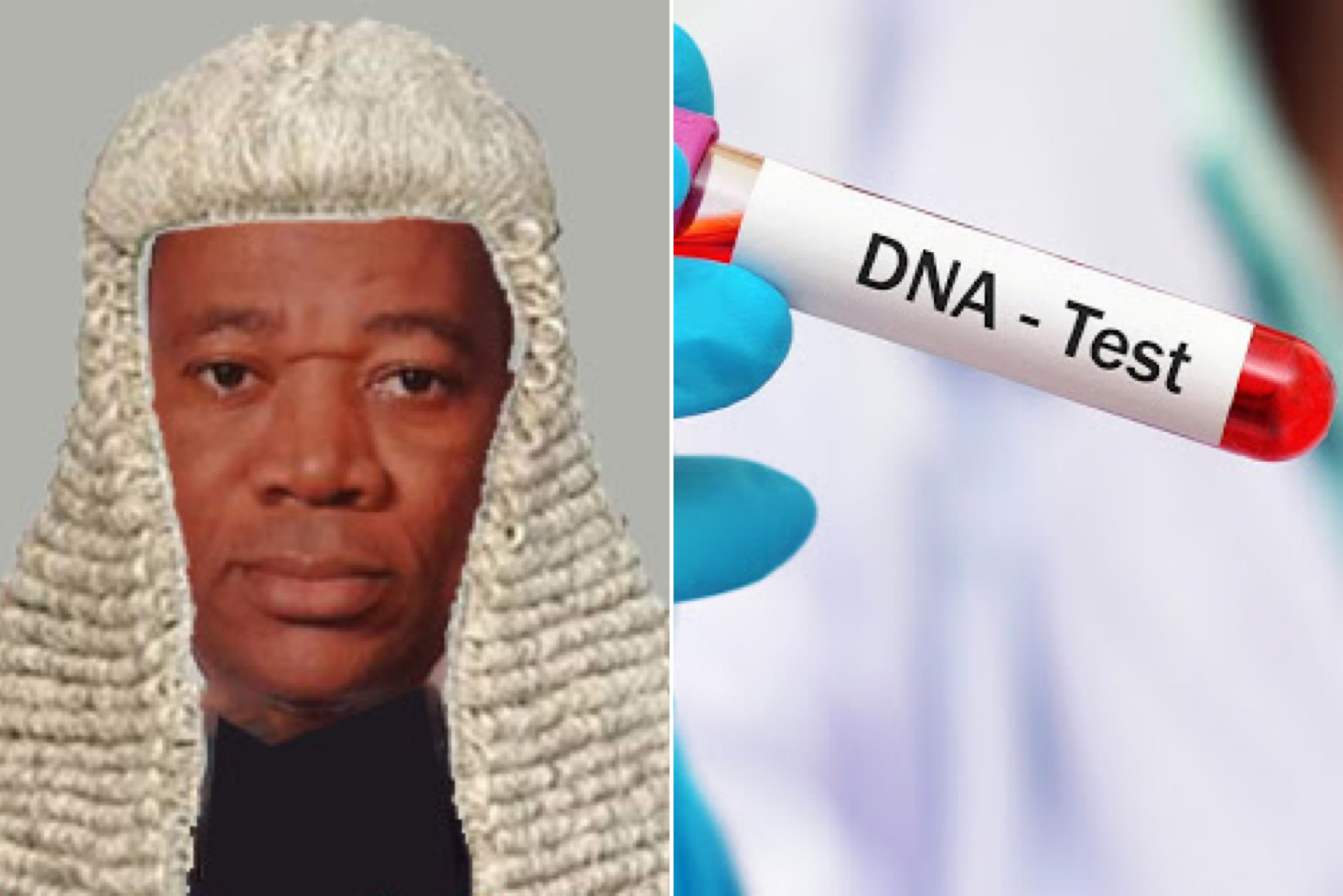 DNA Test Revealed I Didn’t Father My Three Children From Ex-Wife - Delta Judge