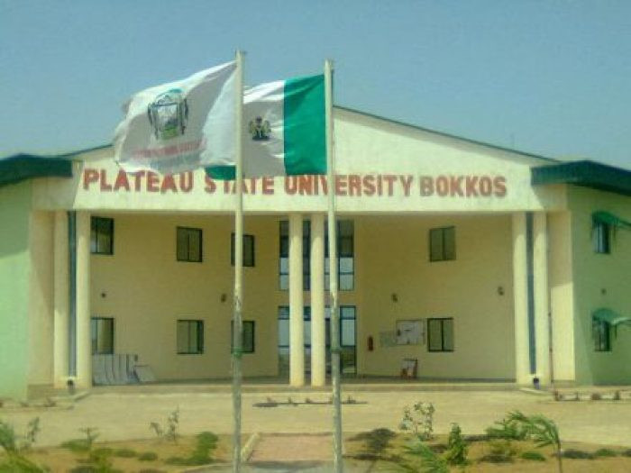 Plateau University Student Falls Off Vehicle, Dies While Protesting Insecurity