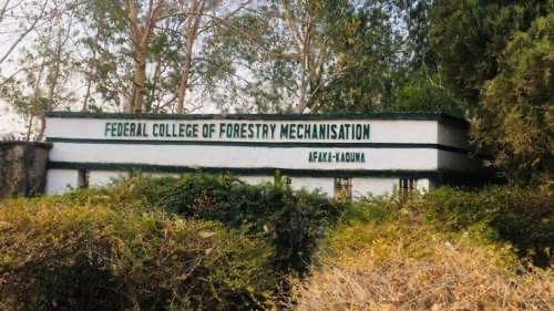Bandits Release 27 Kaduna Forestry College Students