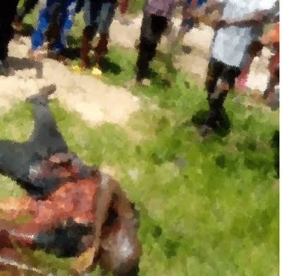 Panic As Suspected Suicide Bomber Blows Self Up In Ebonyi