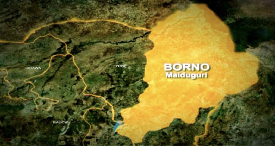 Five Children Killed In Grenade Blast In Borno