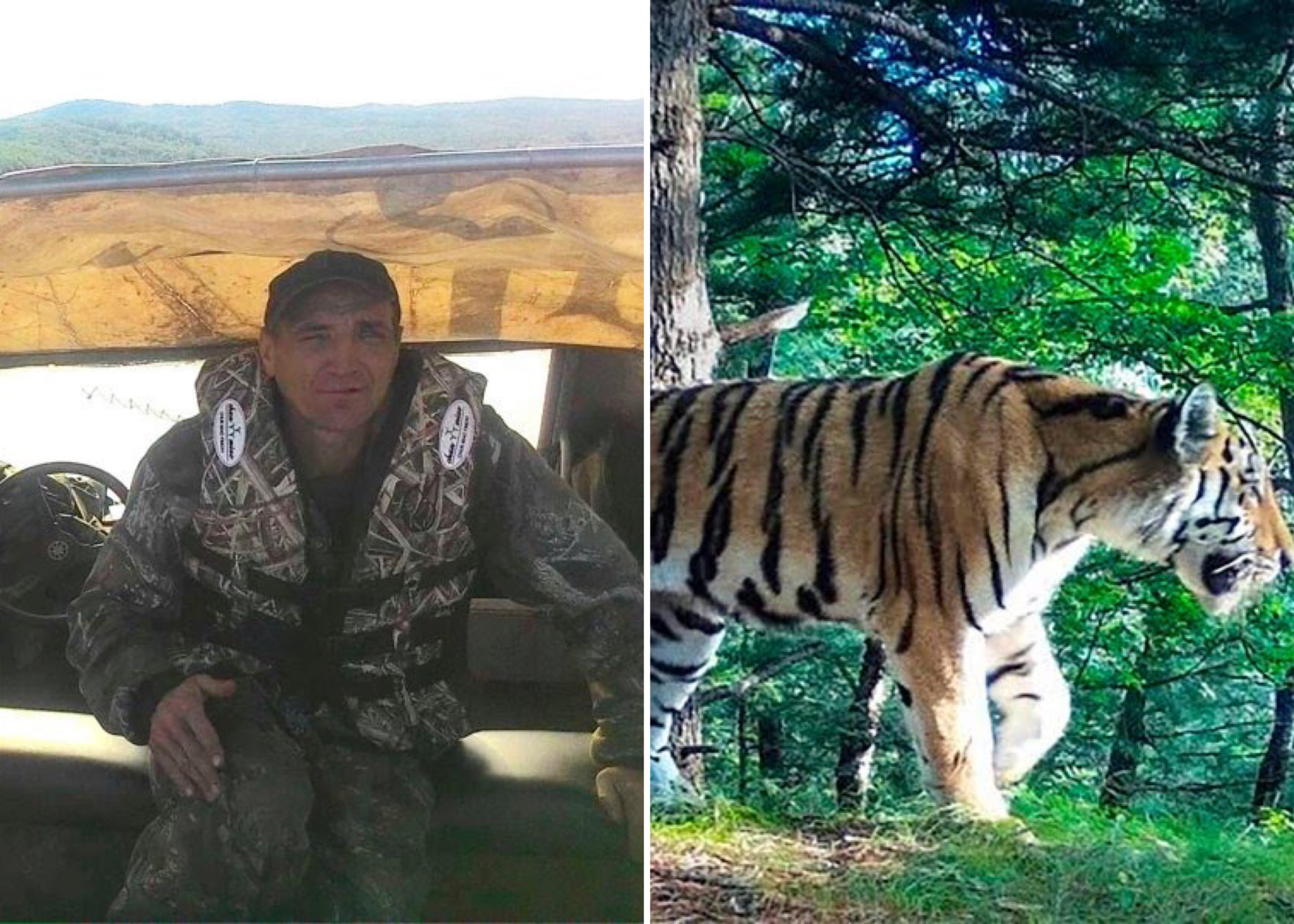 Man Mauled To Death By Tiger As He Went Outside To Use Toilet At Night