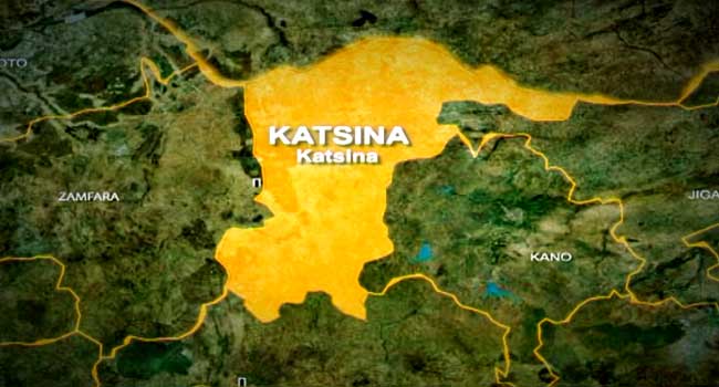 Customs Seizes Over N6m Worth Of Fake Aphrodisiacs In Katsina