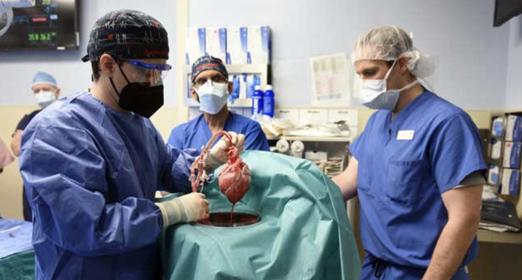 In a medical first, doctors transplanted a pig heart into a patient in a last-ditch effort to save his life.