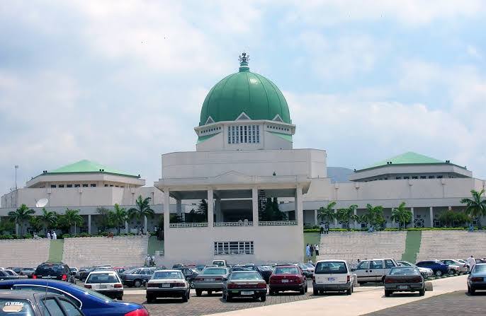 Constitution Amendment: NASS Okays Administrative, Financial Autonomy For Local Governments