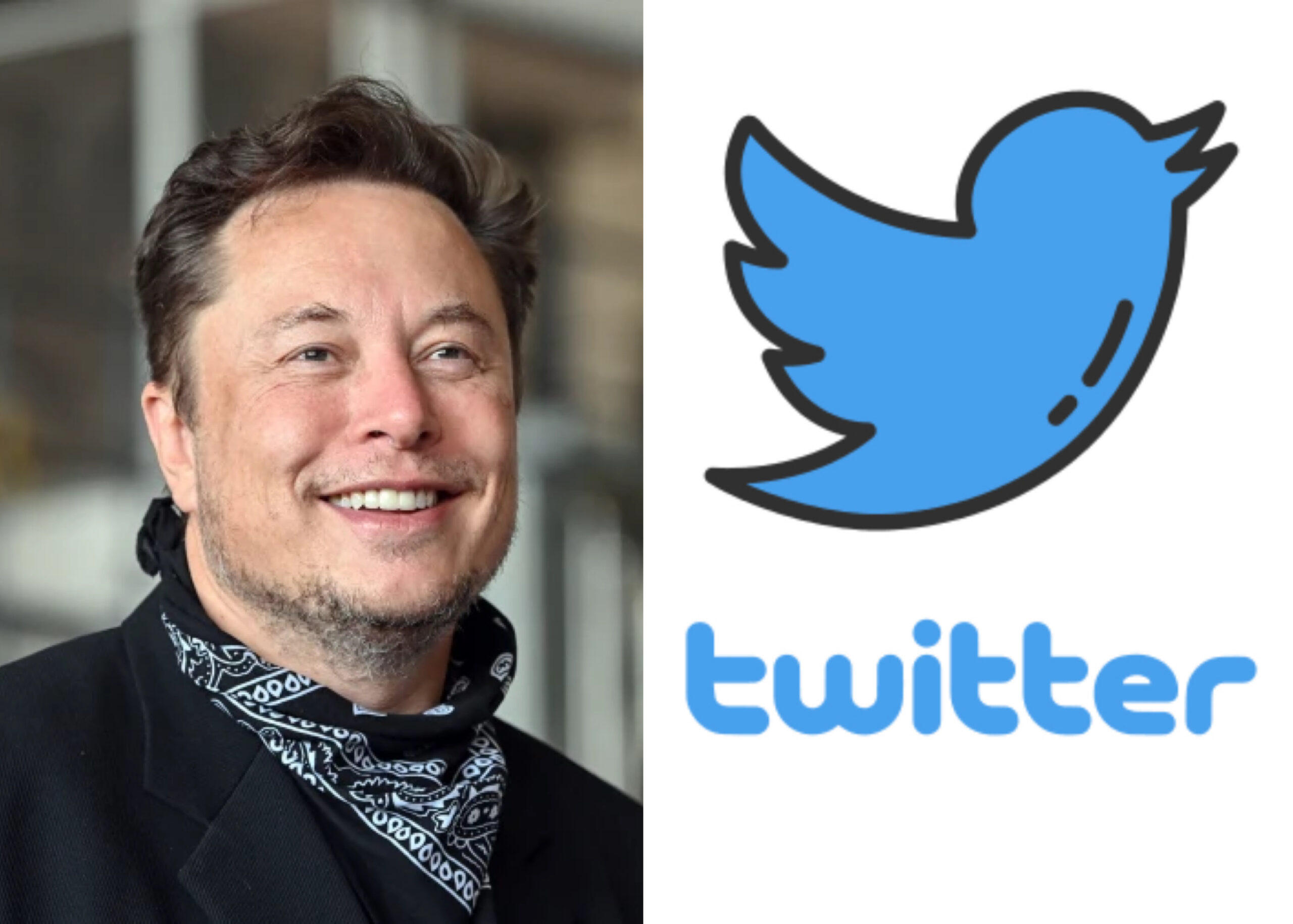 Twitter: Top Executives Step Down Following Musk Take Over