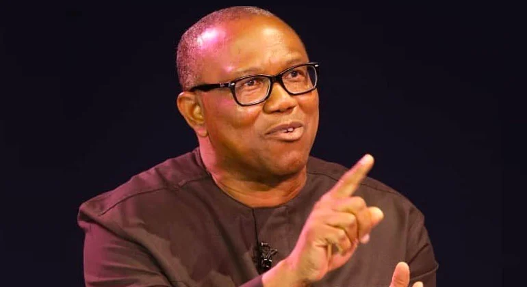 Consumption To Production Theory, Punchline For My Presidential Campaign - Peter Obi